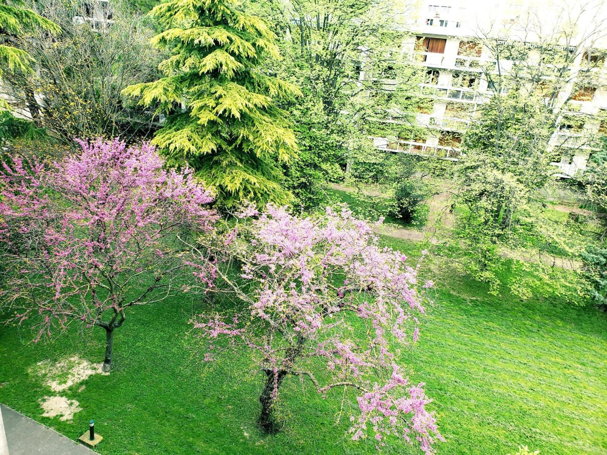 Suite From 1 To 6 - Bathtubs In Rooms - Air Conditioned Residential Appartement - Self-Arrival - Wifi - Netflix Disney - Kitchen - Laundry - Parking Авіньйон Екстер'єр фото